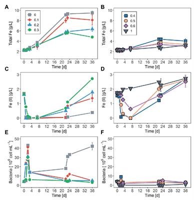 Effect of Sodium Chloride on Pyrite Bioleaching and Initial Attachment by Sulfobacillus thermosulfidooxidans